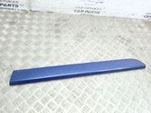 Listón embellecedor de la puerta delantera (moldura)