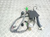 Front door wiring loom