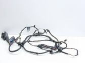 Front door wiring loom