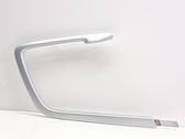 Other rear door trim element