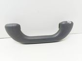 Front interior roof grab handle