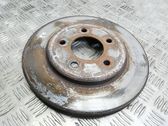 Front brake disc