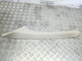 (A) pillar trim
