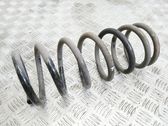 Rear coil spring