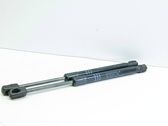 Front bonnet/hood damper/strut