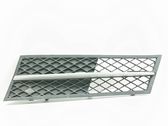 Front bumper lower grill