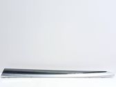 Rear door trim (molding)