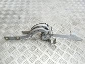 Tailgate/trunk/boot hinge