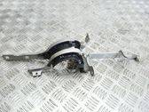 Tailgate/trunk/boot hinge