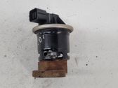 Válvula EGR