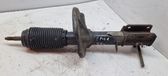 Front shock absorber/damper