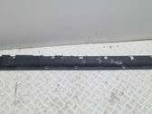 Sill/side skirt trim