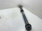 Rear shock absorber/damper