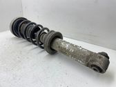 Rear shock absorber with coil spring