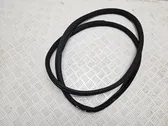 Rear door rubber seal (on body)