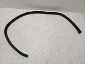 Front door rubber seal