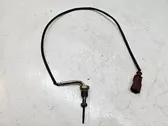 Exhaust gas temperature sensor