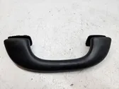 Front interior roof grab handle