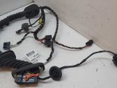 Front door wiring loom