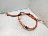 Other wiring loom