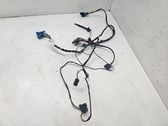 Other wiring loom