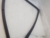 Rubber seal rear door window/glass