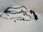 Front door wiring loom