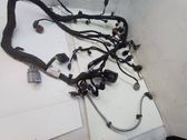 Faisceau de câblage pour moteur