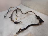 Front door wiring loom
