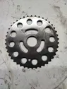 Timing chain sprocket