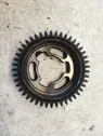 Timing chain sprocket