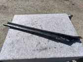 Windshield trim