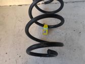 Front coil spring