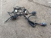Other wiring loom