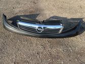 Front bumper upper radiator grill