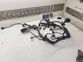 Faisceau de câblage pour moteur