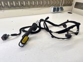 Front door wiring loom