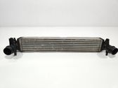 Intercooler radiator