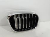 Front bumper upper radiator grill