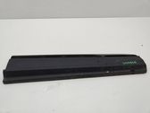Front door trim (molding)