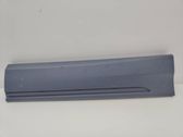 Rear door trim (molding)