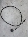 Exhaust gas temperature sensor