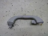 Front interior roof grab handle