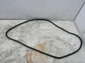 Sandarinimo guma priekinių durų (ant kėbulo)