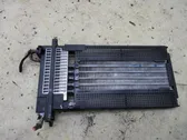 Electric cabin heater radiator