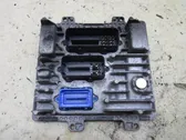 Engine control unit/module ECU