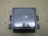 Engine control unit/module ECU