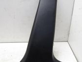 (C) pillar trim