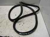 Trunk rubber seal (body)