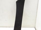 (C) pillar trim